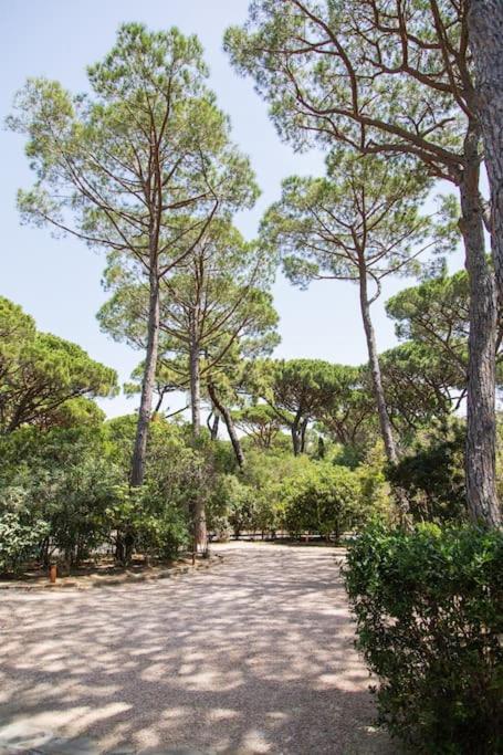 Villa Roccapini 卡斯蒂里昂纳·德拉佩 外观 照片