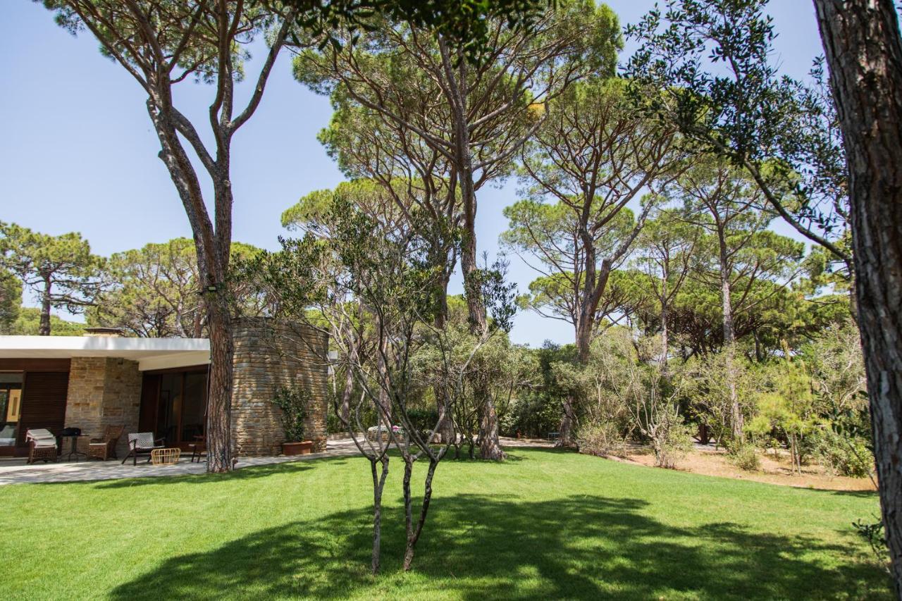 Villa Roccapini 卡斯蒂里昂纳·德拉佩 外观 照片